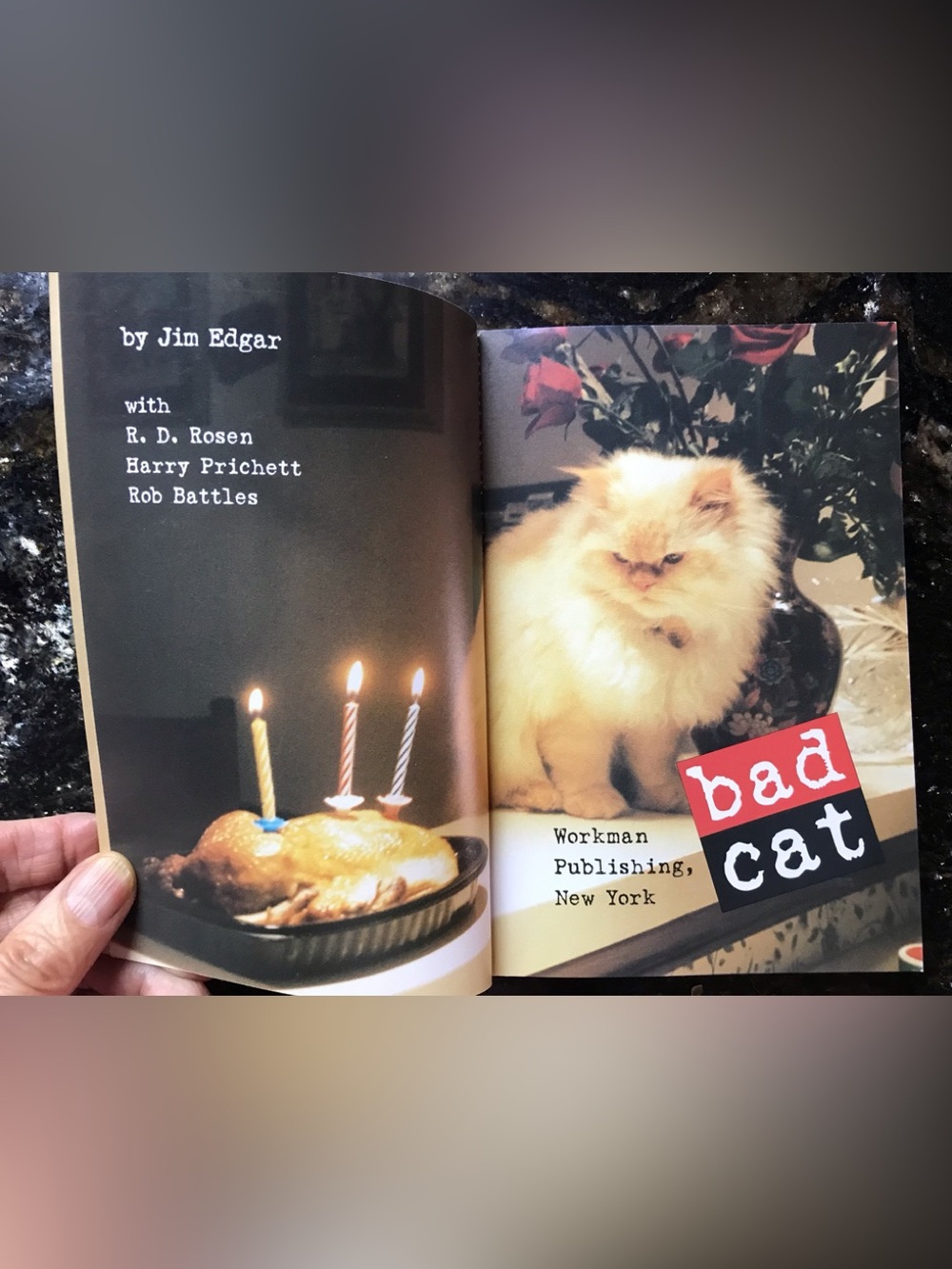 Bad Cat Book - Picture 6 of 10